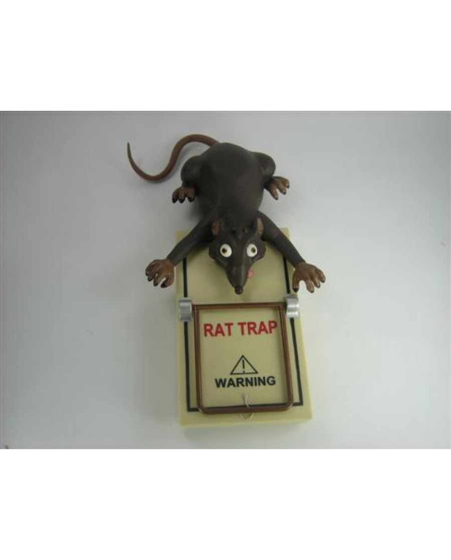 Rat in a Trap