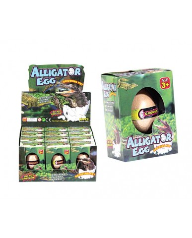 Alligator Hatch Egg
